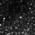 2022gjy_image