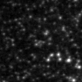 2022gpc_image
