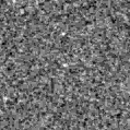 2022gt_image