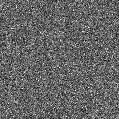 2022gzx_image