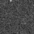 2022hca_image