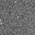 2022hdp_image