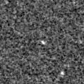 2022hzh_image