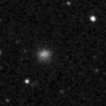 2022iid_image