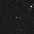 2022ipd_image