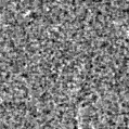 2022ivo_image