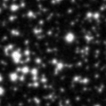 2022ivy_image