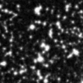2022iwg_image