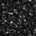 2022jfb_image