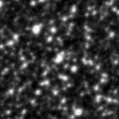 2022jky_image