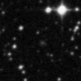 2022lek_image