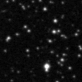2022lny_image
