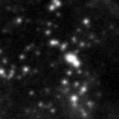 2022lpy_image