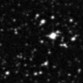 2022lzw_image