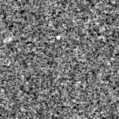 2022msn_image
