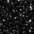 2022mty_image