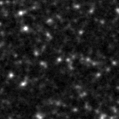 2022mtz_image