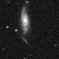 2022myo_image