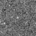 2022mzj_image