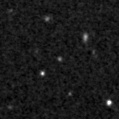 2022nef_image