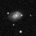 2022nfy_image