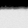 2022nhh_image