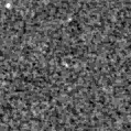 2022njb_image