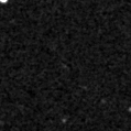 2022nkn_image