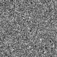 2022nol_image