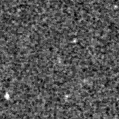 2022nop_image
