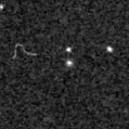 2022nsf_image