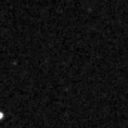 2022nvk_image