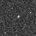 2022nyl_image