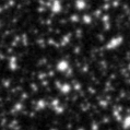 2022nyt_image