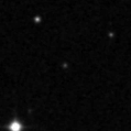 2022nzk_image