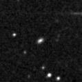 2022nzo_image