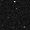 2022nzq_image