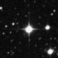 2022nzr_image