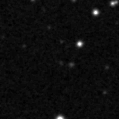 2022nzw_image