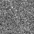 2022oel_image