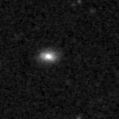 2022ogg_image