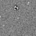 2022ohg_image