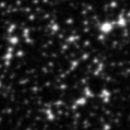 2022oii_image