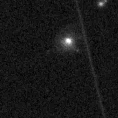 2022ona_image
