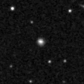 2022orf_image