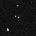 2022org_image