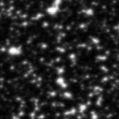 2022pbc_image