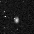 2022pcj_image