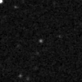 2022pea_image