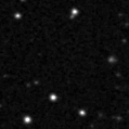 2022pup_image